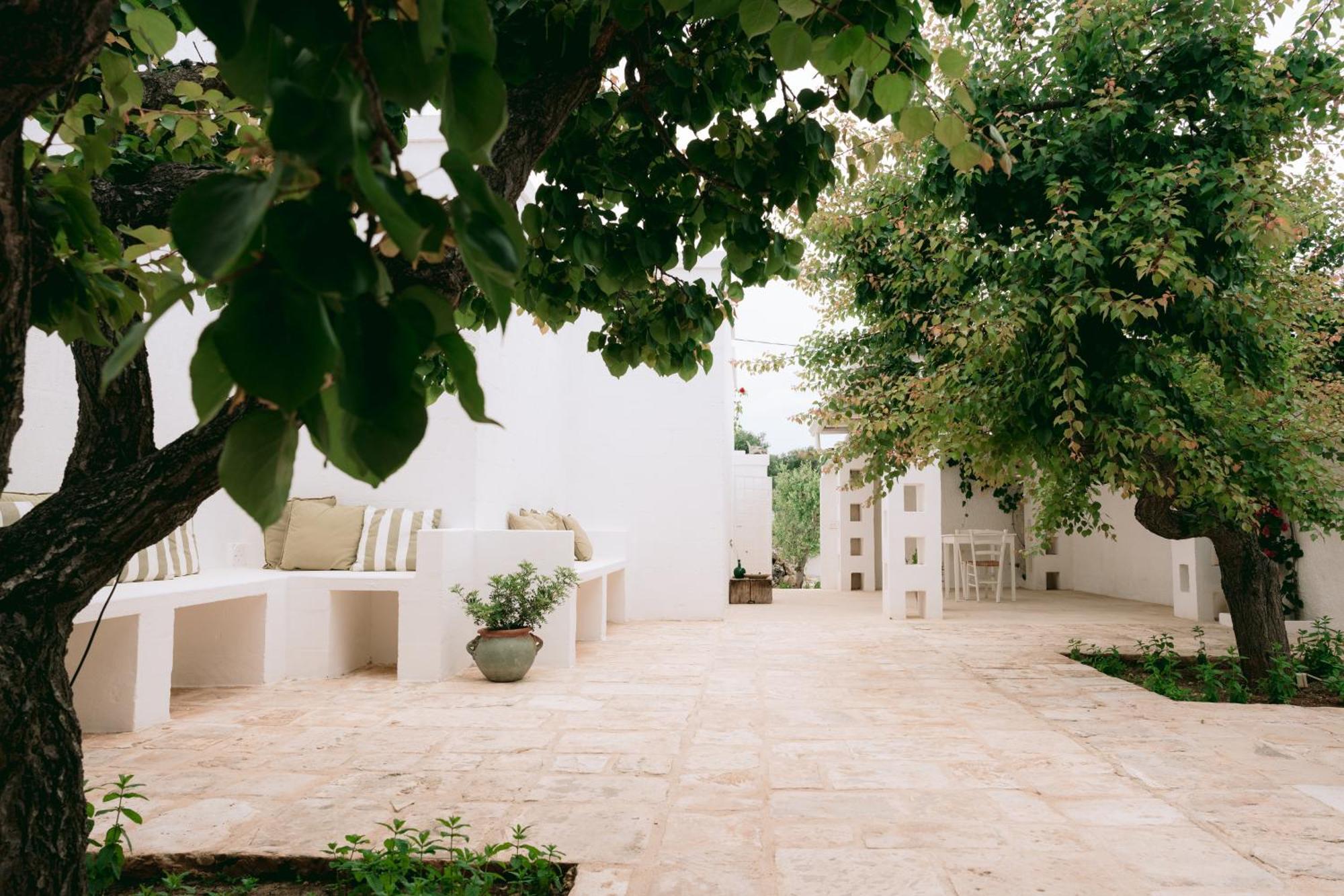 Oltre Gli Ulivi Bed & Breakfast ออสตูนี ภายนอก รูปภาพ