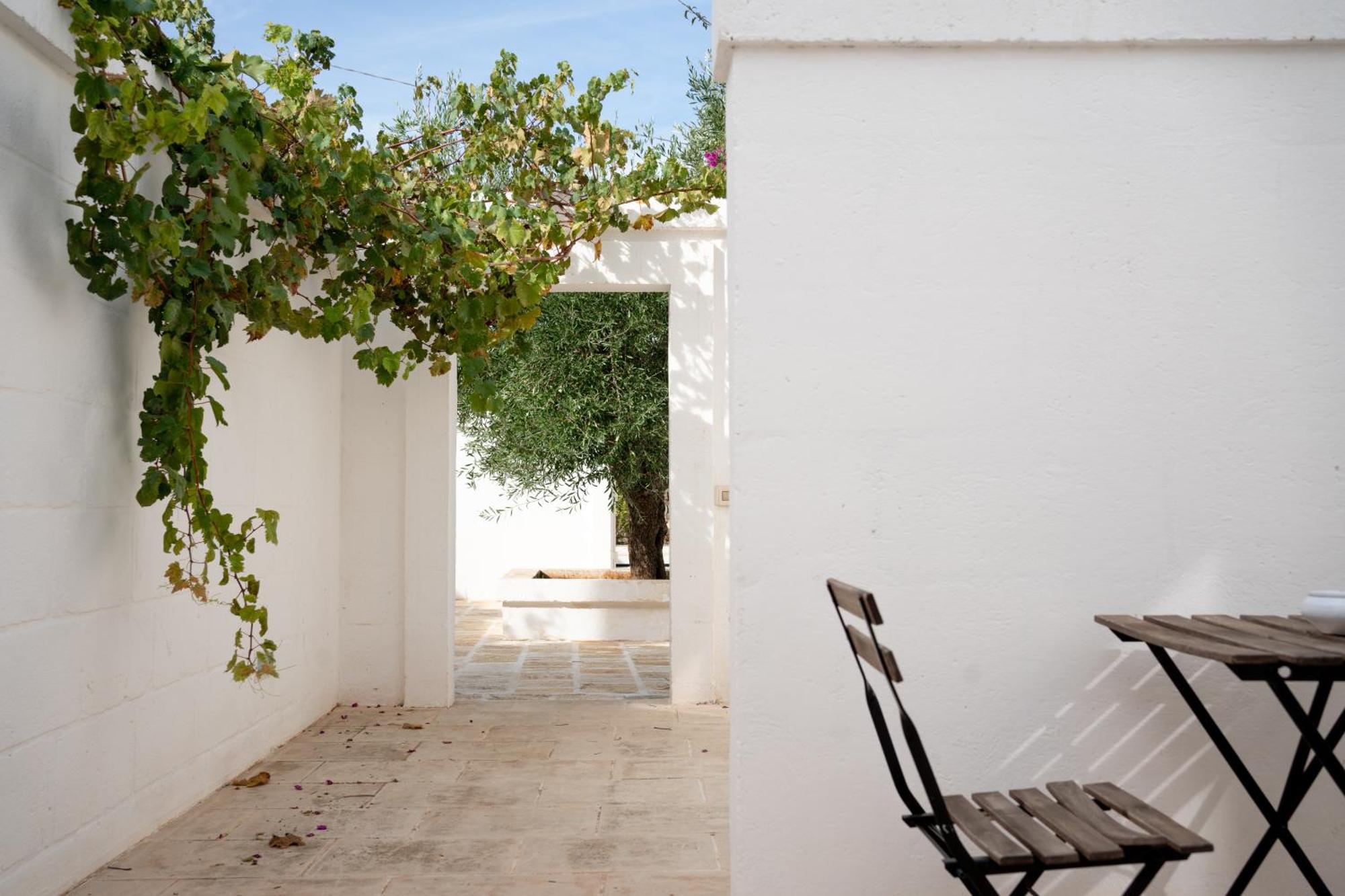 Oltre Gli Ulivi Bed & Breakfast ออสตูนี ภายนอก รูปภาพ